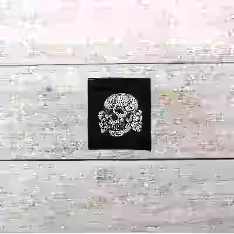 Waffen-SS Officer's Cap Skull