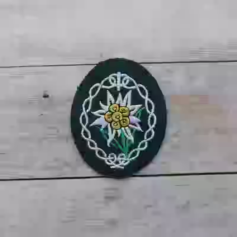 Gebirgsjäger Enlisted Men's Sleeve Cloth Patch - WWII-era Gebirgsjäger sleeve cloth patch with silver, green, and yellow embroidery on darkgreen wool background.
