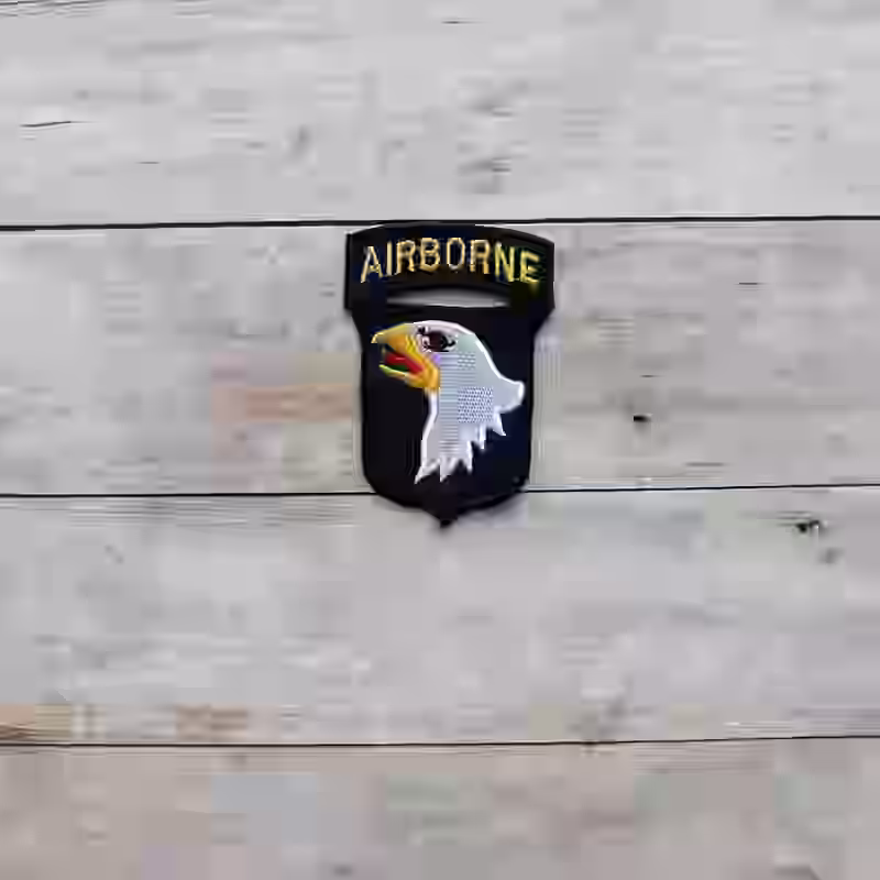 101st Airborne Division Badge - WWII-era 101st Airborne Division badge with eagle emblem on black wool background.