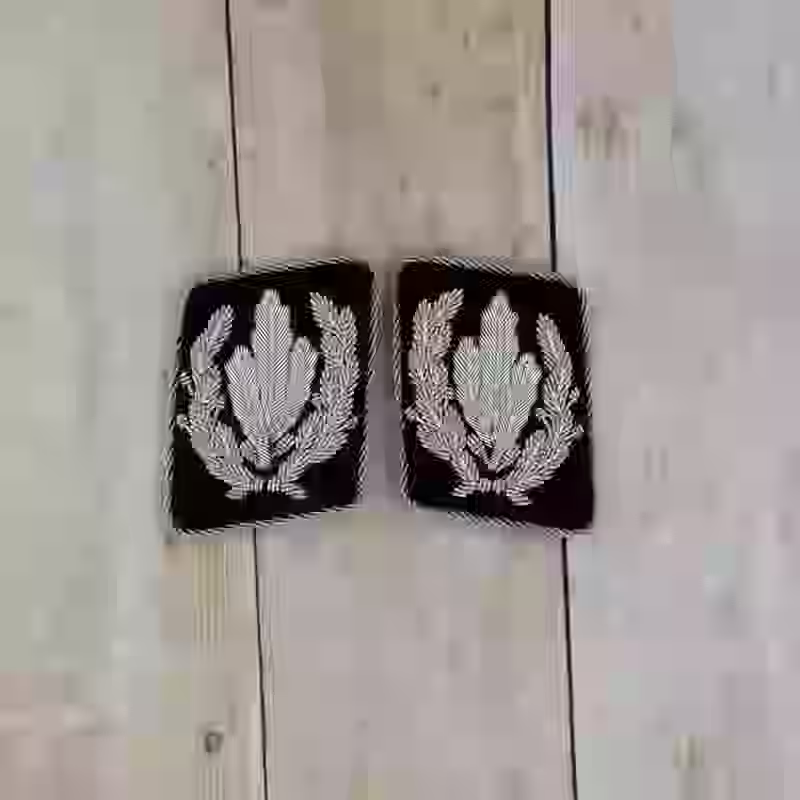 SS Reichsführer Collar Tabs - WWII-era SS Reichsführer collar tabs with silver piping on black wool for high-ranking SS uniforms.