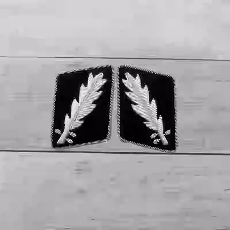 SS Standartenführer Collar Tabs - WWII-era SS Standartenführer wire collar tabs with hand-embroidered aluminum wire and piping on black wool, 1942-1945.