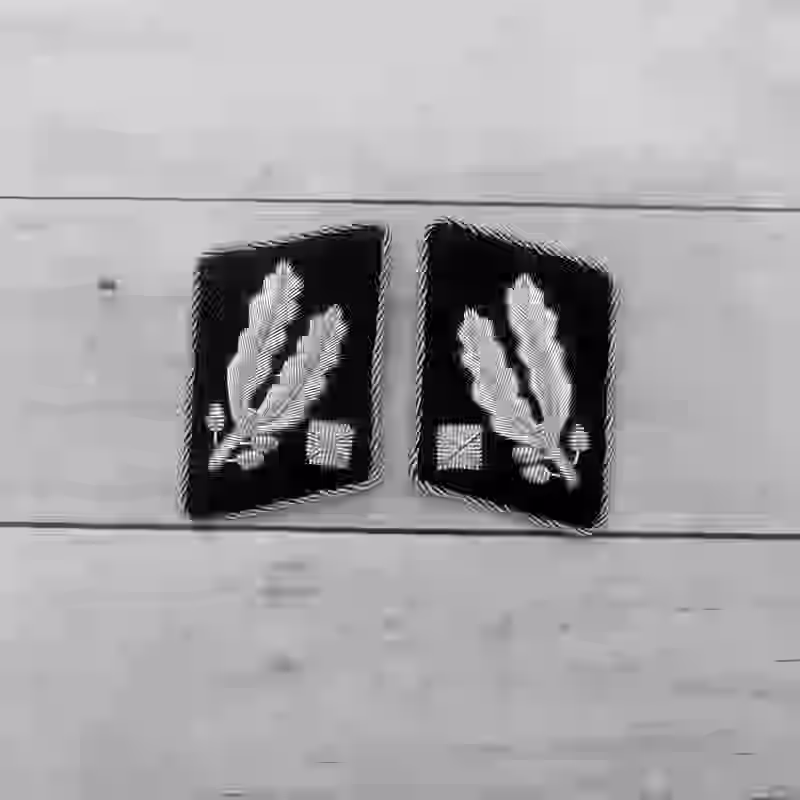 SS Brigadeführer Aluminum Wire Collar Tabs - WWII-era SS Brigadeführer collar tabs with hand-embroidered aluminum wire and piping on black wool, used until 1942.