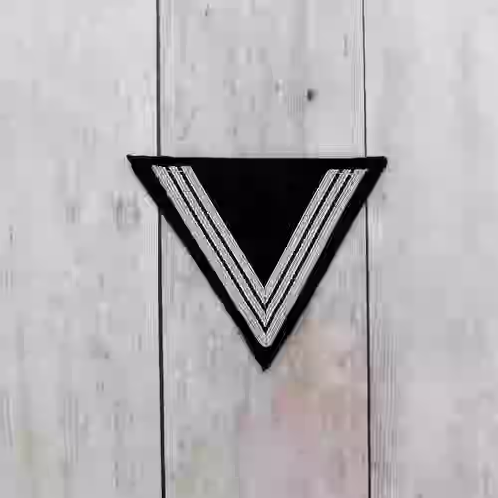 Allgemeine SS Old Guard Honour Sleeve Chevron - WWII-era Allgemeine SS old guard honour sleeve chevron with aluminum and black litzen.