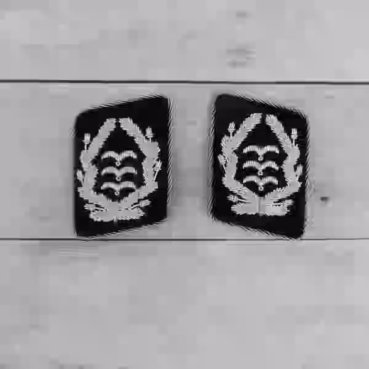 Luftwaffe Oberst Colonel Officer's Pioneer Collar Tabs - WWII-era Luftwaffe Oberst colonel officers’ pioneer collar tabs with silver thread on black wool.