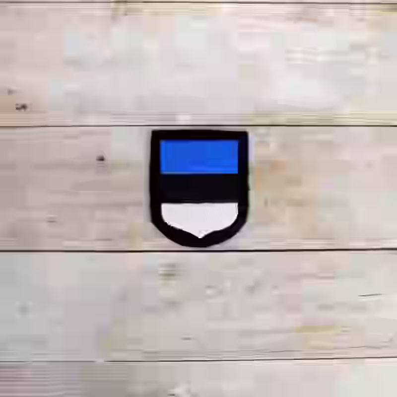Waffen SS Estonian Volunteers Sleeve Shield - WWII-era Waffen SS Estonian volunteers sleeve shield with black wool background, replicating the Estonian flag for the 20th Waffen Grenadier Division.