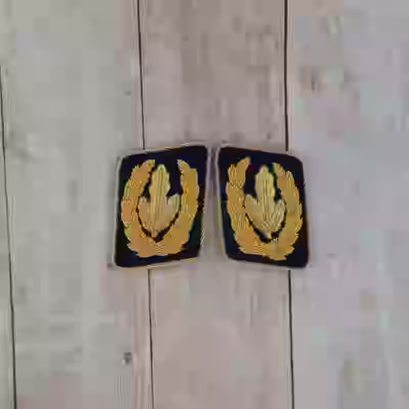 Hitler Youth Leader (Hitlerjugend) Artur Axmann Collar Tabs - WWII-era Hitler Youth Leader Artur Axmann collar tabs with gold bullion wire on black background.